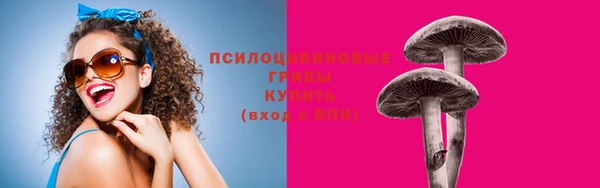 ешки Балахна
